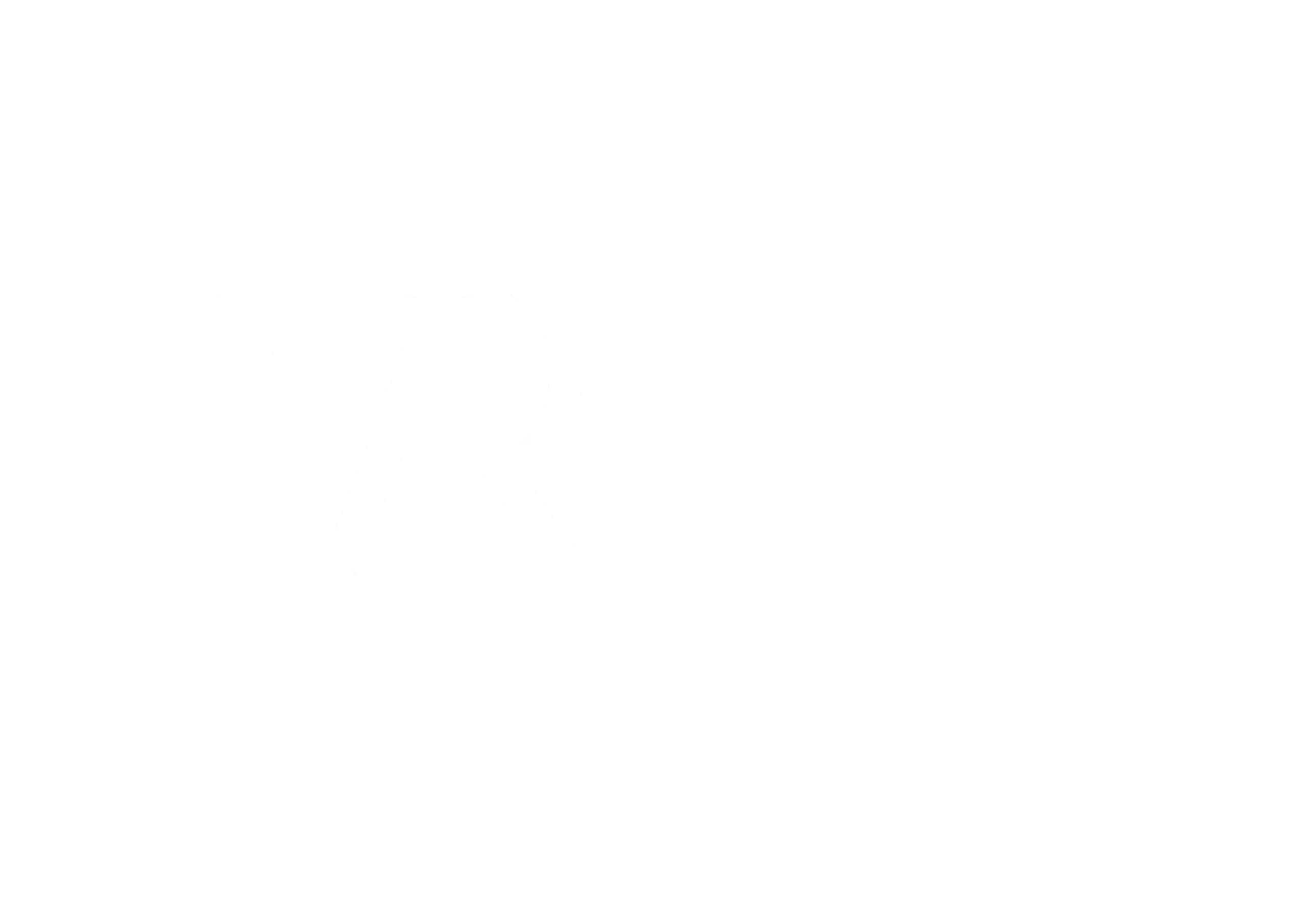 vr_-_foundation_w
